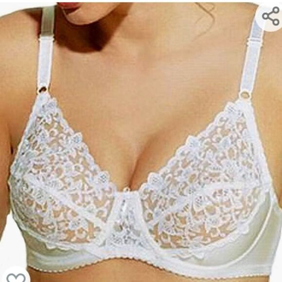 Wacoal Tapestry Embroidery Sheer Lace
Bra Sz-32D - Picture 2 of 14